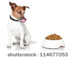 dict.cc | Hundefutter | bersetzung Deutsch-Englisch